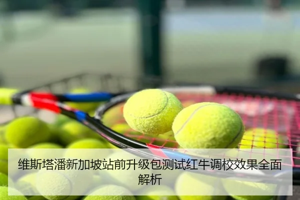 维斯塔潘新加坡站前升级包测试红牛调校效果全面解析